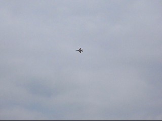 F-16 ラジコン動画